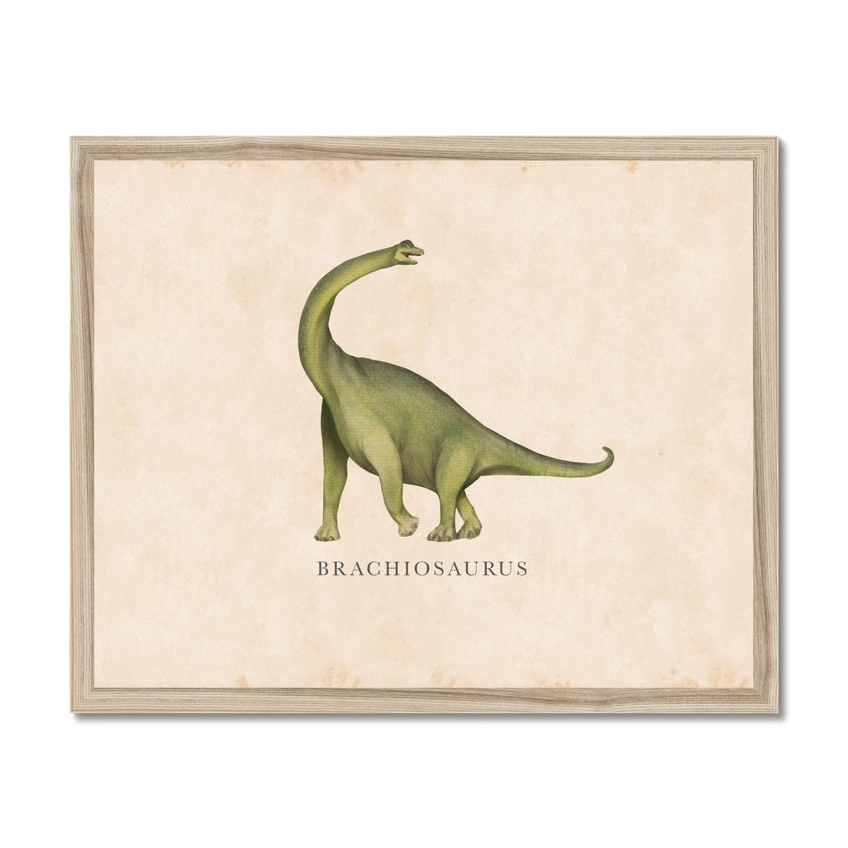 Vintage Brachiosaurus Framed Fine Art Print