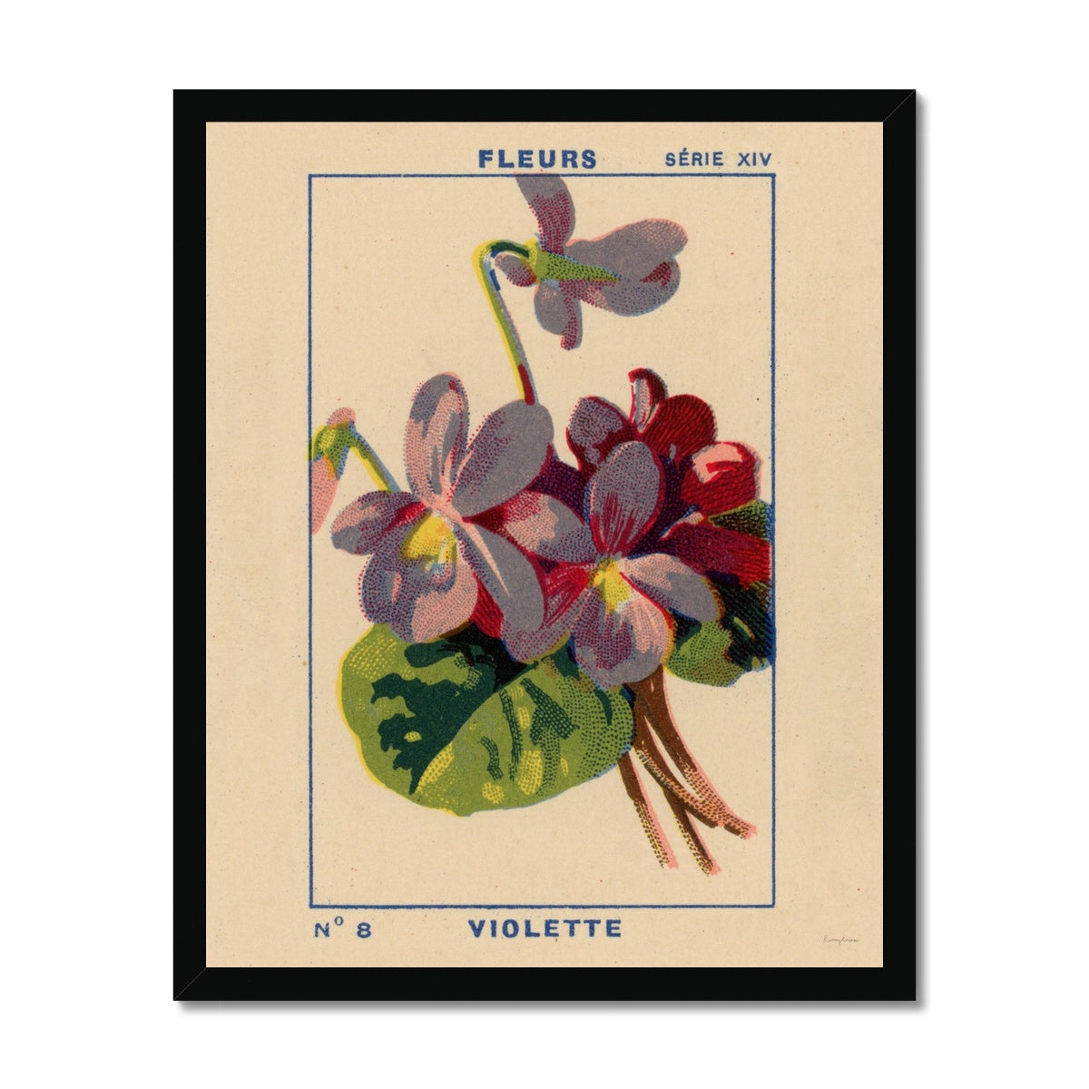 Violette (Violet) Framed Fine Art Print