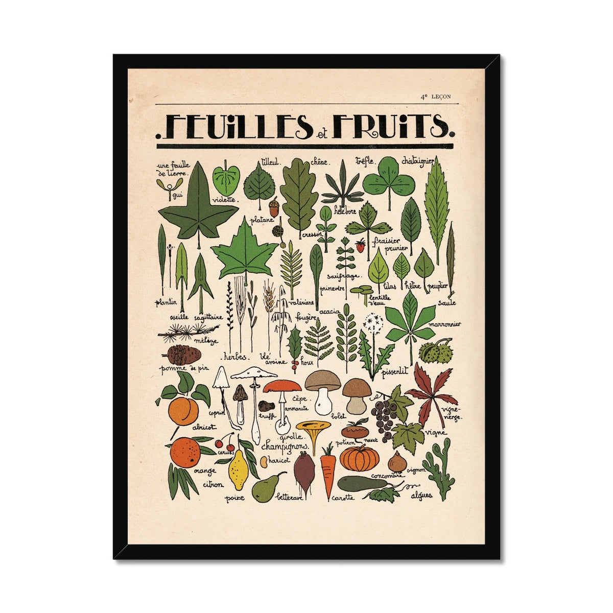 Feuilles et Fruits Framed Fine Art Print