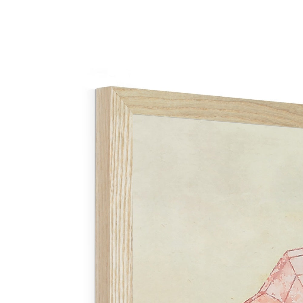 16th Century Geometry Drawings Pink Framed Fine Art Print